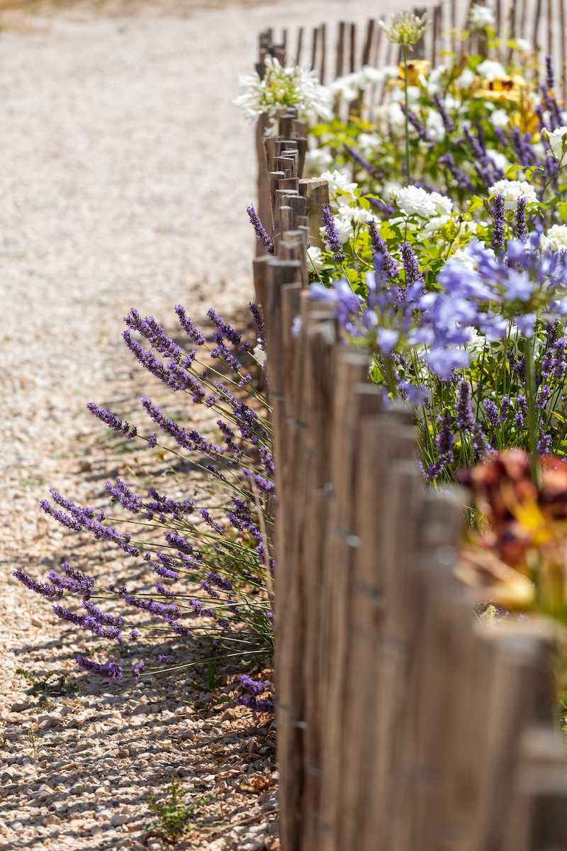 Jardin chic et authentique en Provence - végétation provençale