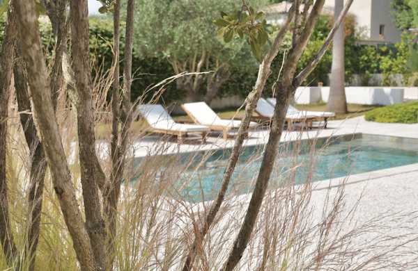 Jardin avec piscine esprit Ibiza par un paysagiste à Saint-Tropez
