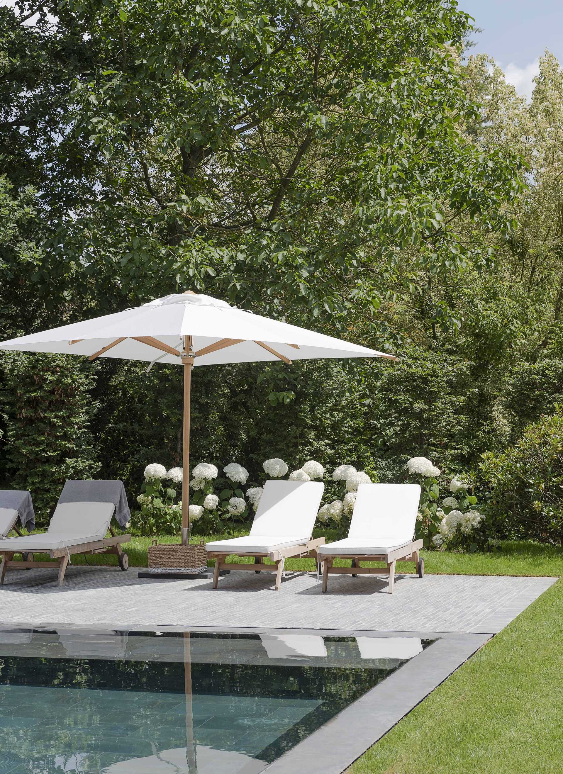 A landscape architect designs a Mediterranean garden with a swimming pool on the Côte d'Azur
